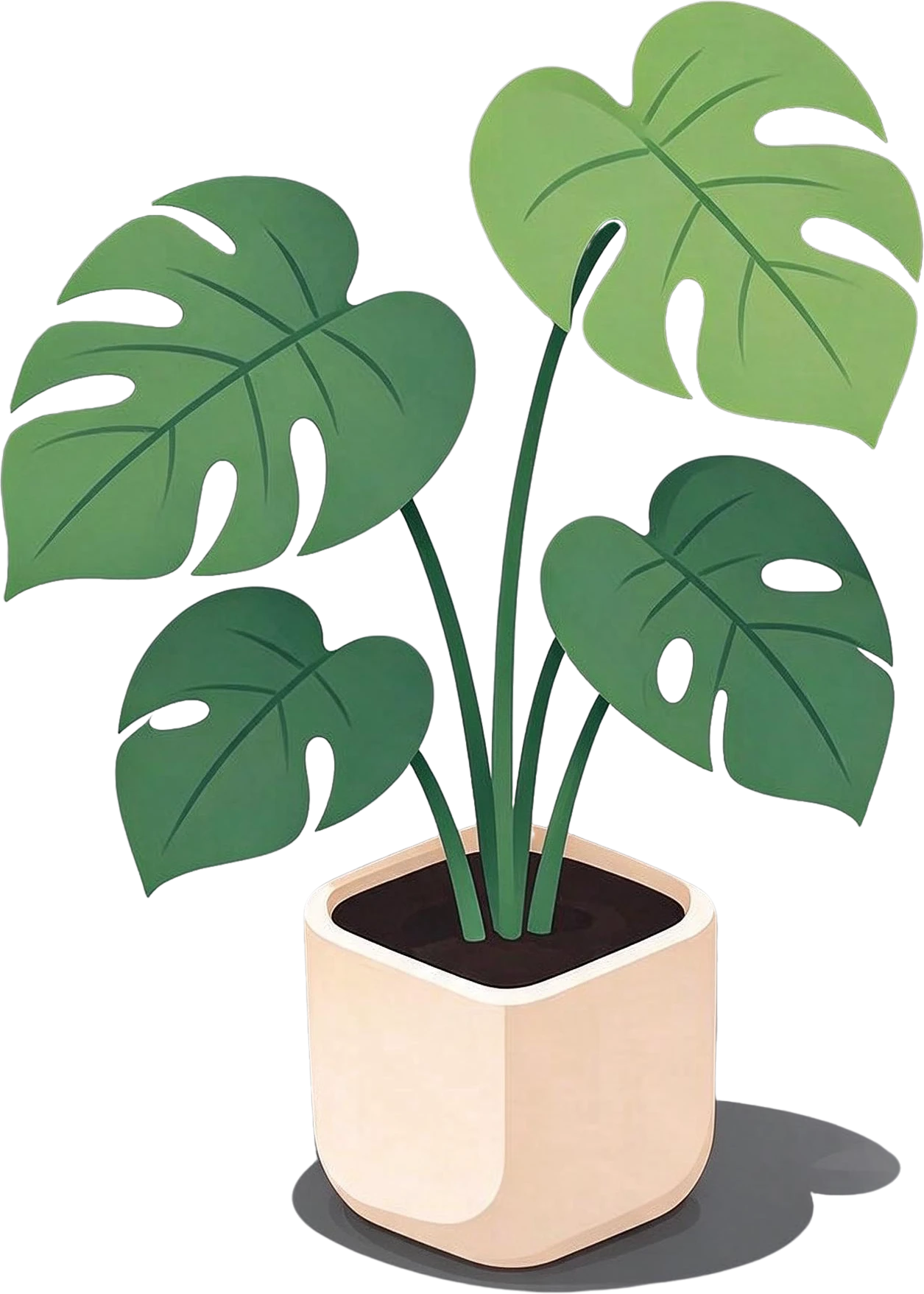 Monstera potted plant — separated layer