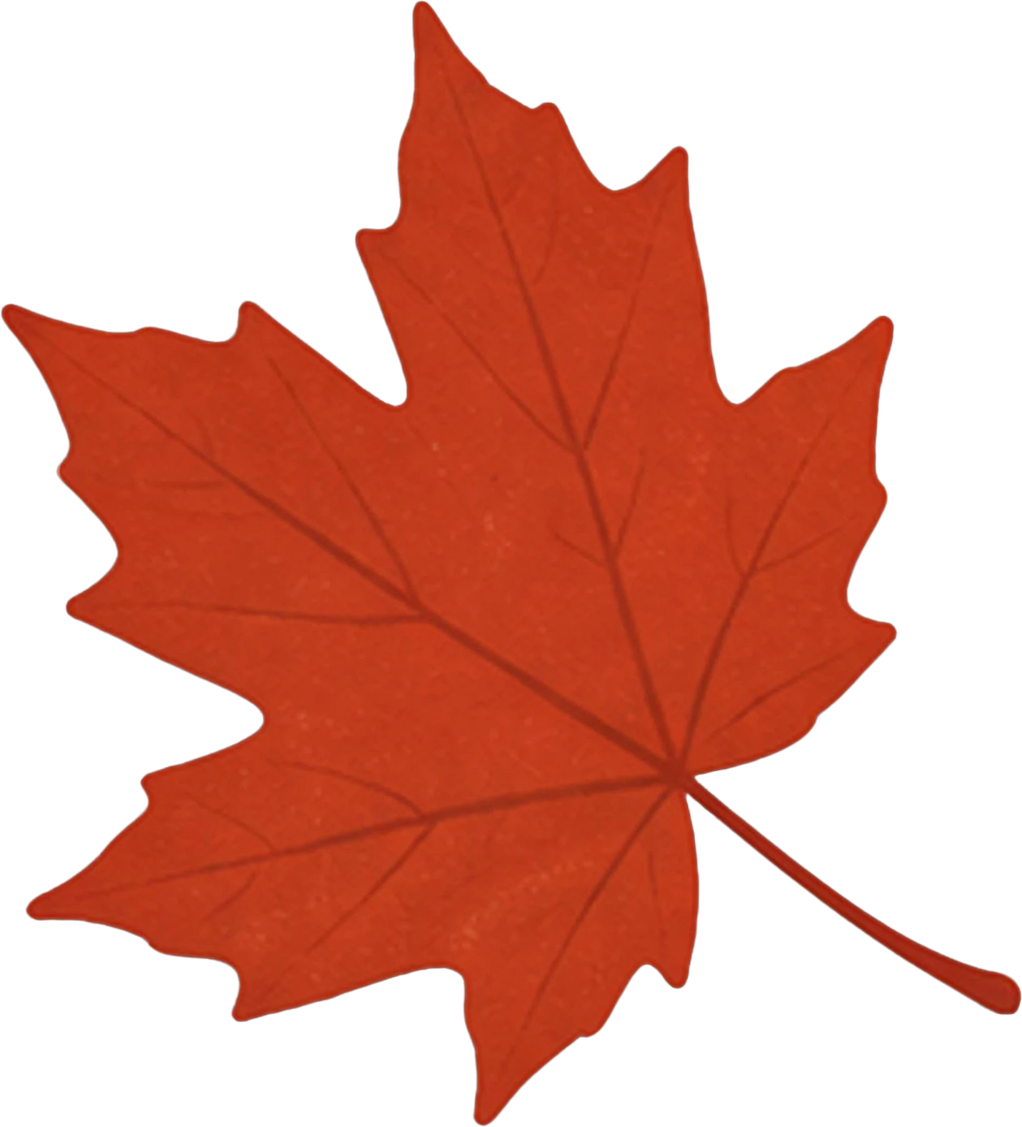 Red maple leaf (bottom left)