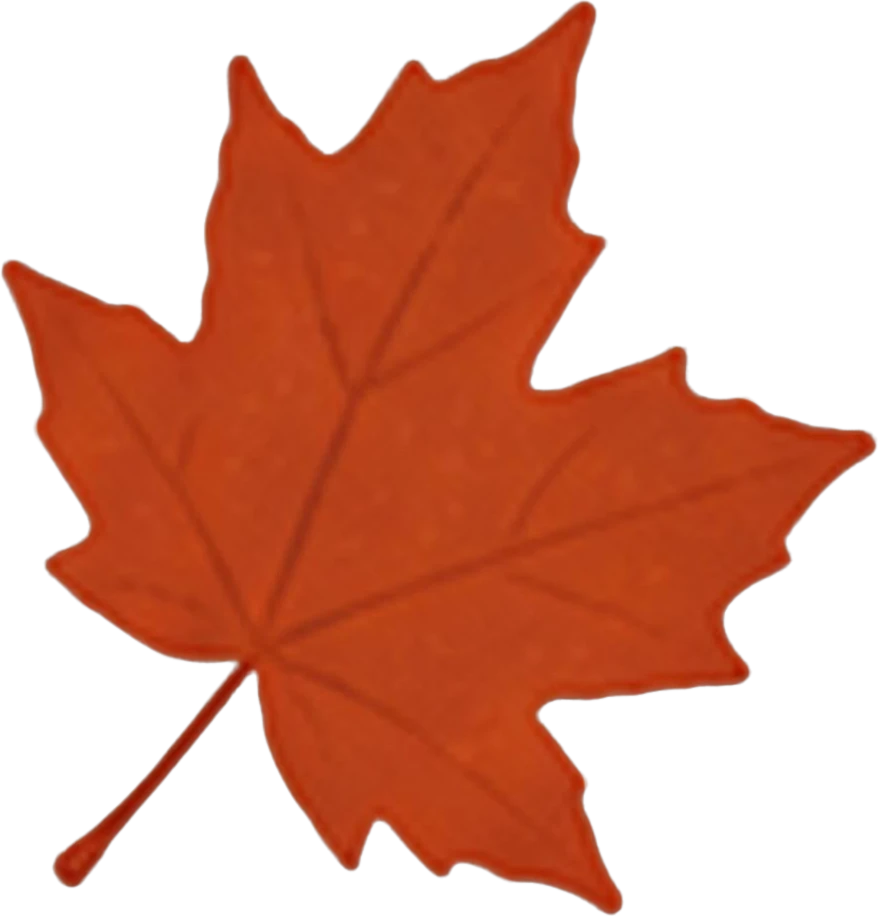 Orange maple leaf (top right)